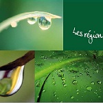 couv_L39_v2