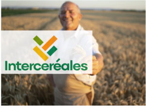 Intercéréales a noué un partenariat structurant avec Sol et Civilisation pour l’accompagner dans sa réflexion stratégique autour des défis complexes et multi-acteurs auxquels ses membres sont confrontés.